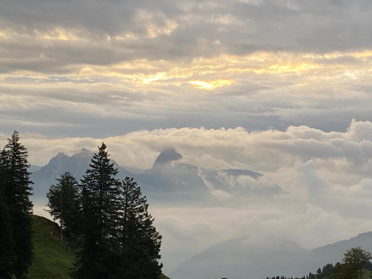 Rigi-burggeist Alpine *