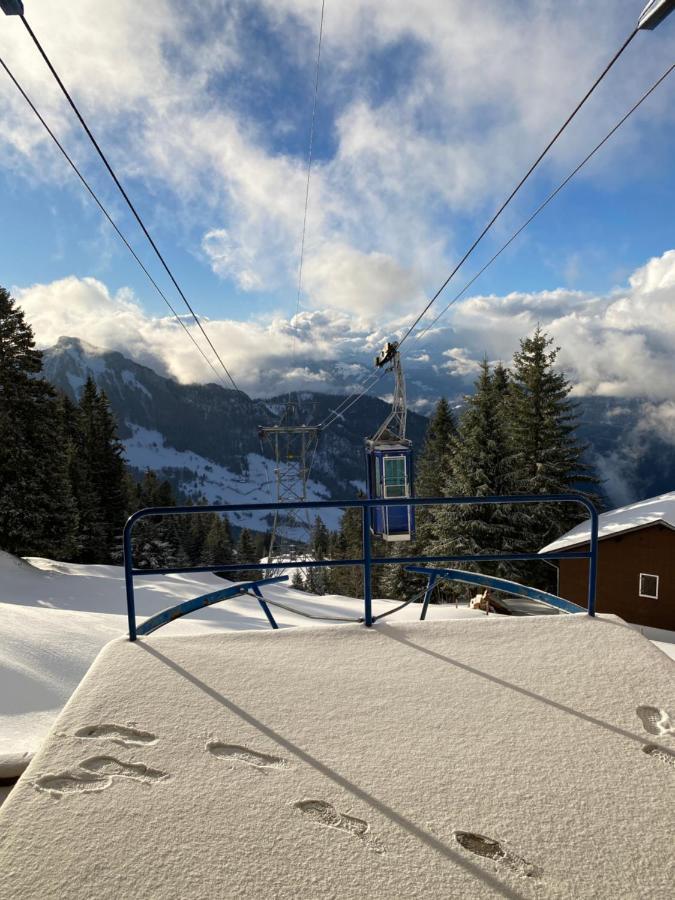 Rigi-burggeist Alpine *