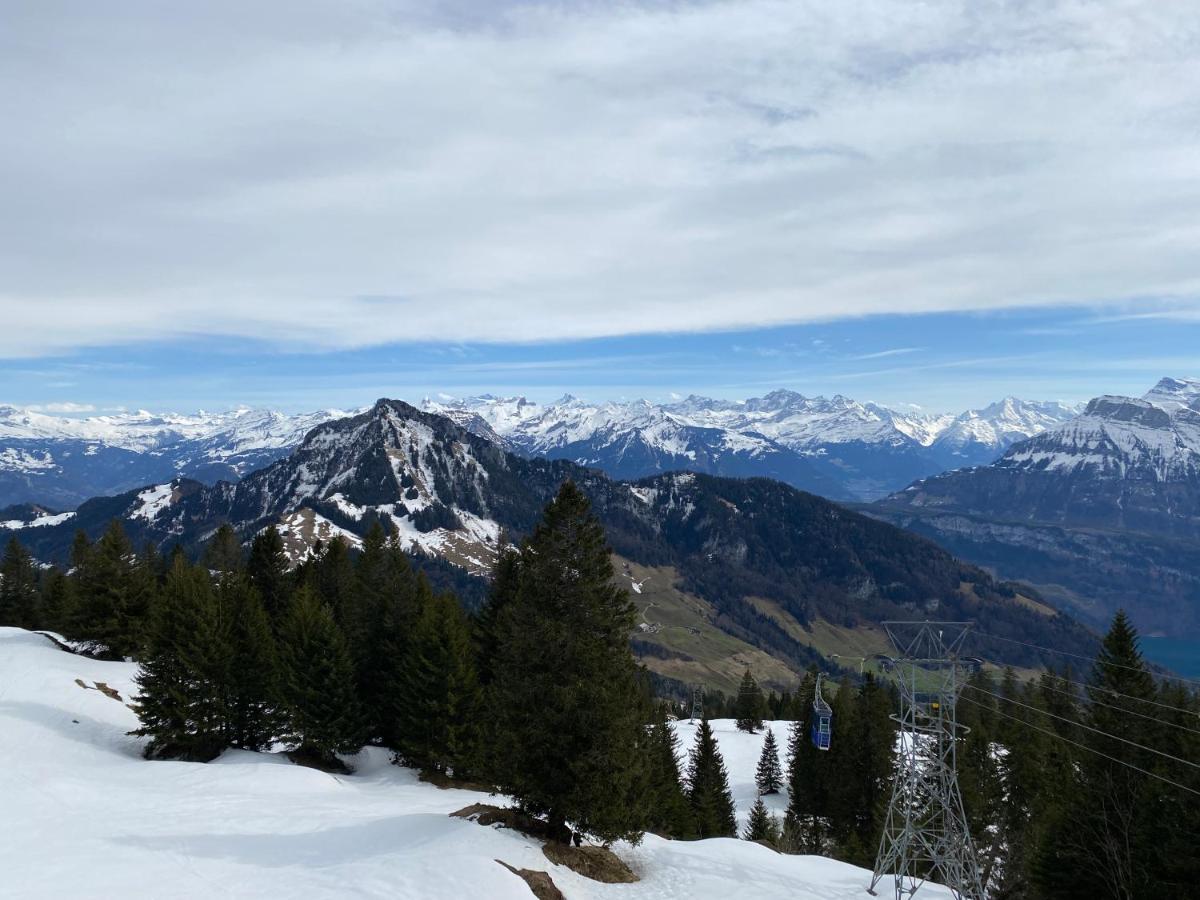 Rigi-burggeist Alpine Gersau